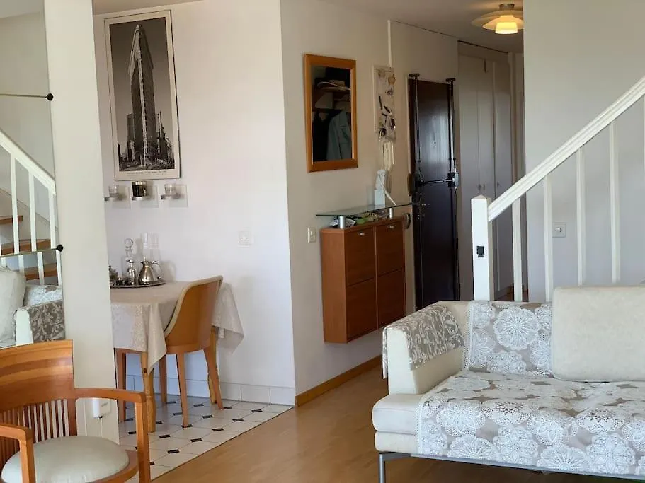 Appartement Vue Sur Le Mont Blanc Geneve