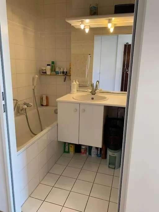 Lägenhet Appartement Vue Sur Le Mont Blanc Geneve Schweiz