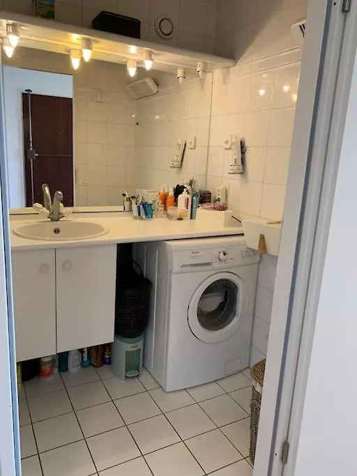 Appartement Vue Sur Le Mont Blanc Geneve Lägenhet