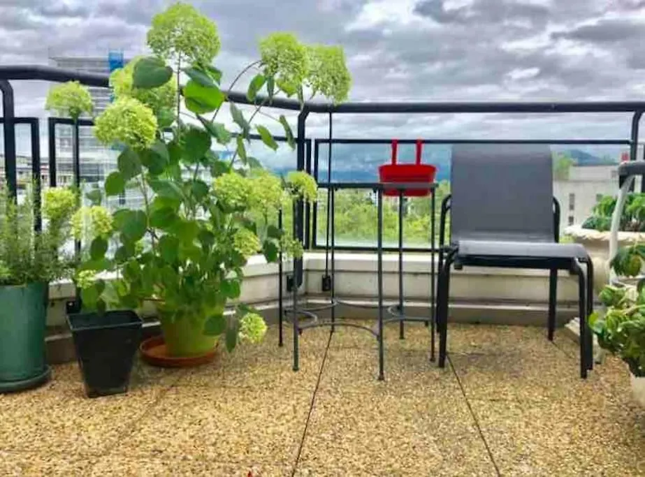 Appartement Vue Sur Le Mont Blanc location