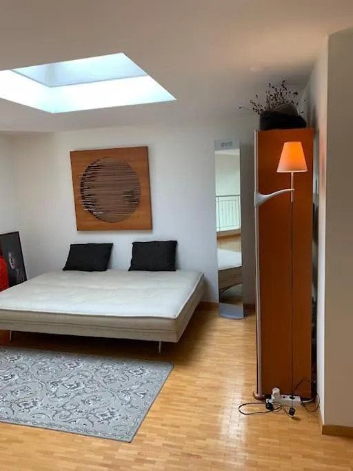 Apartment Appartement Vue Sur Le Mont Blanc Genf