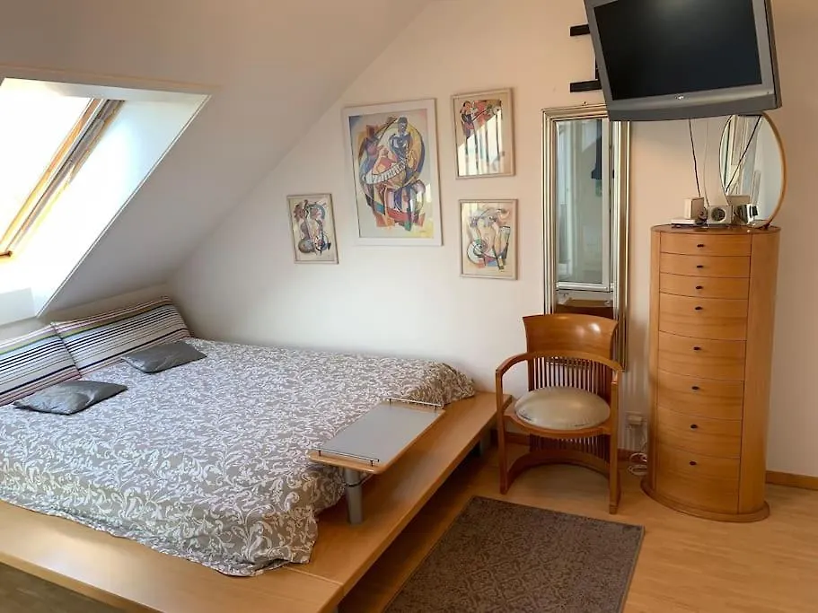 Apartment Appartement Vue Sur Le Mont Blanc Genf Schweiz